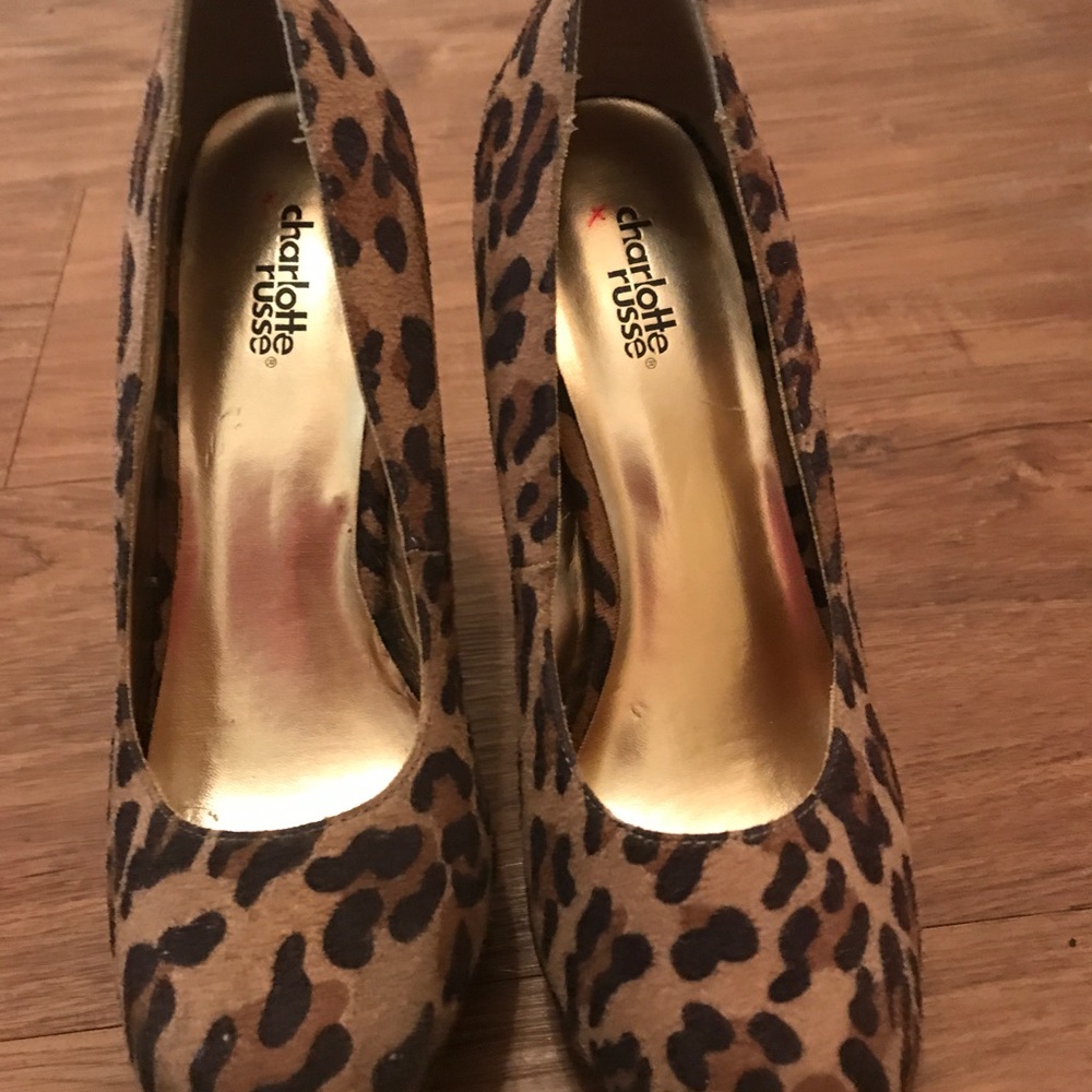 Leopard heals - Picture 2 of 2